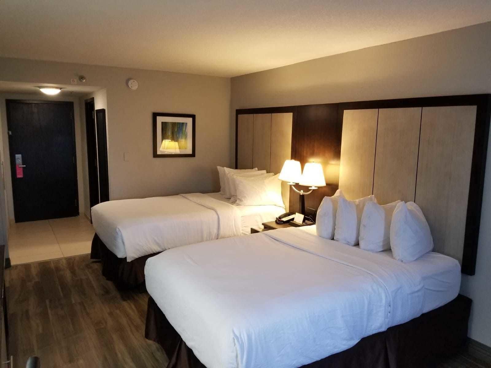 Wyndham Garden Hotel - Jacksonville Bagian luar foto